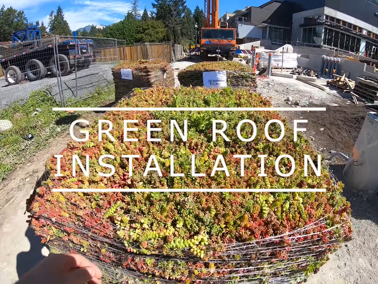 North by Northwest Green roof installation